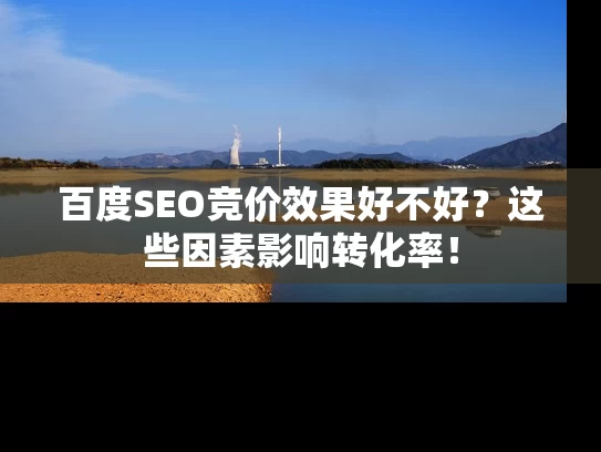 百度SEO竞价效果好不好？这些因素影响转化率！