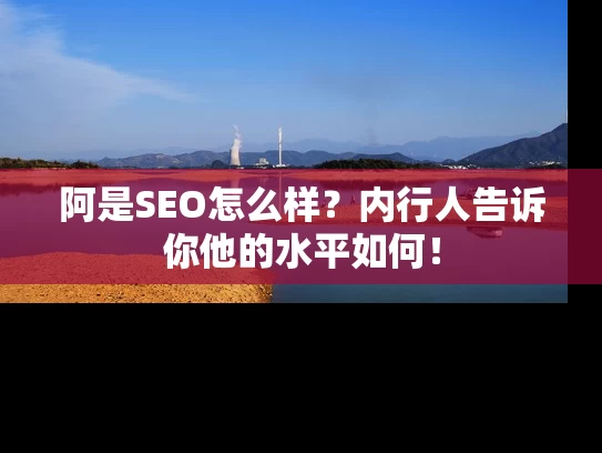 阿是SEO怎么样？内行人告诉你他的水平如何！