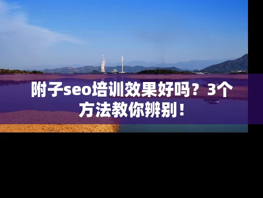 附子seo培训效果好吗？3个方法教你辨别！