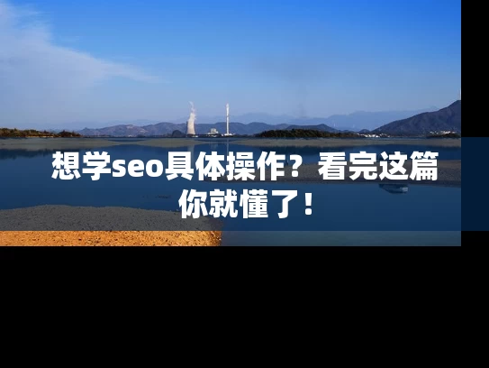 想学seo具体操作？看完这篇你就懂了！