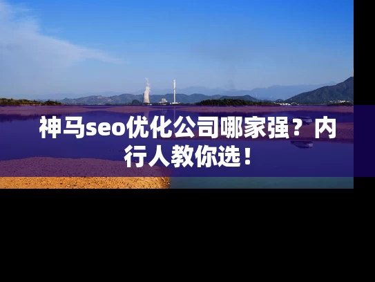 神马seo优化公司哪家强？内行人教你选！