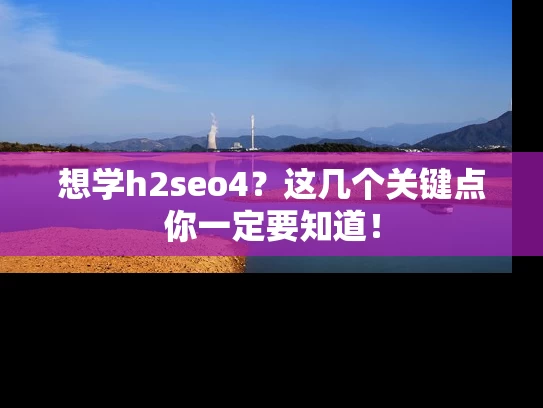 想学h2seo4？这几个关键点你一定要知道！