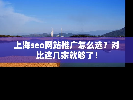 上海seo网站推广怎么选？对比这几家就够了！