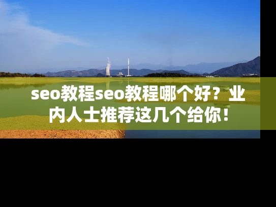 seo教程seo教程哪个好？业内人士推荐这几个给你！