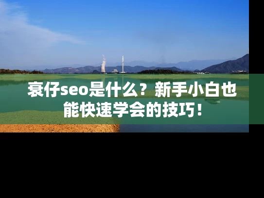 衰仔seo是什么？新手小白也能快速学会的技巧！
