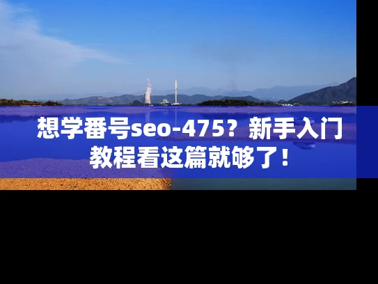 想学番号seo-475？新手入门教程看这篇就够了！