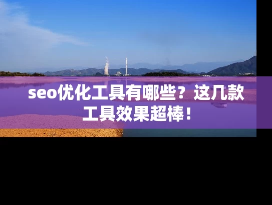seo优化工具有哪些？这几款工具效果超棒！