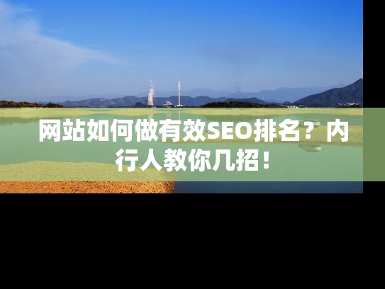网站如何做有效SEO排名？内行人教你几招！