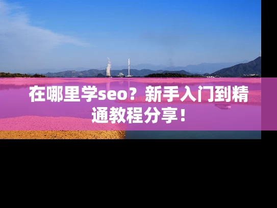 在哪里学seo？新手入门到精通教程分享！