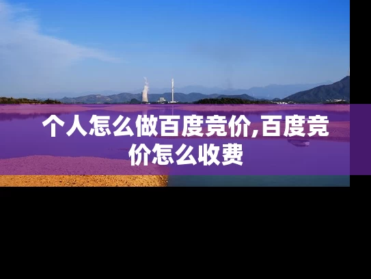 个人怎么做百度竞价,百度竞价怎么收费