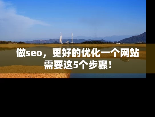 做seo，更好的优化一个网站需要这5个步骤！