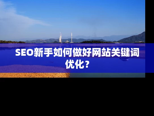 SEO新手如何做好网站关键词优化？