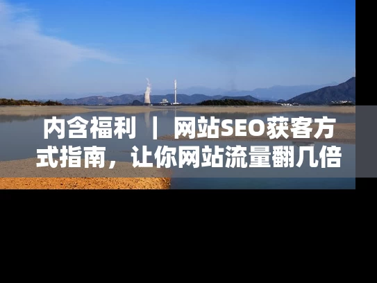 内含福利 ｜ 网站SEO获客方式指南，让你网站流量翻几倍
