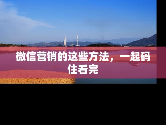 微信营销的这些方法，一起码住看完