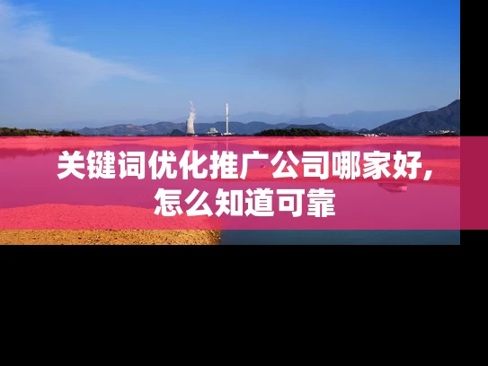 关键词优化推广公司哪家好,怎么知道可靠