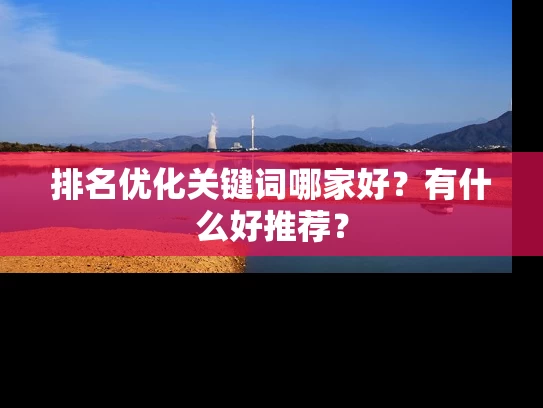 排名优化关键词哪家好？有什么好推荐？