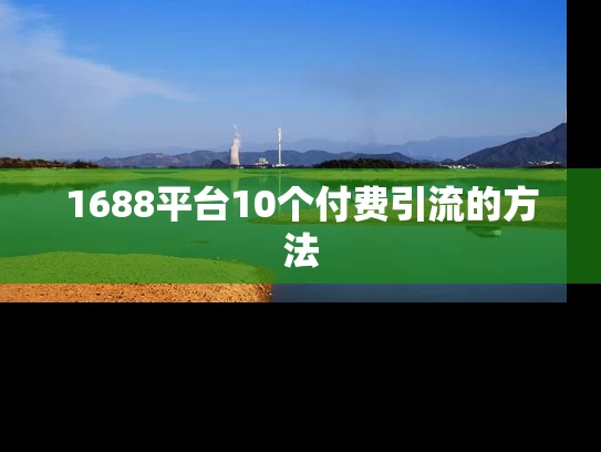 1688平台10个付费引流的方法