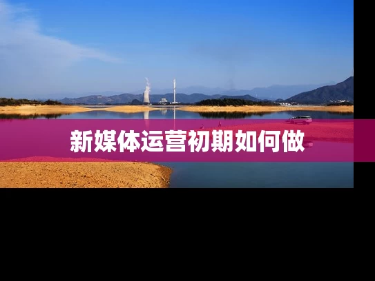新媒体运营初期如何做