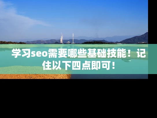 学习seo需要哪些基础技能！记住以下四点即可！