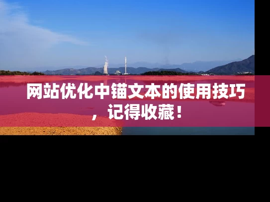 网站优化中锚文本的使用技巧，记得收藏！