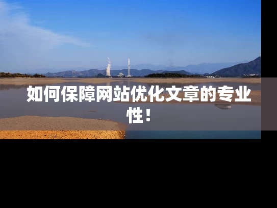 如何保障网站优化文章的专业性！