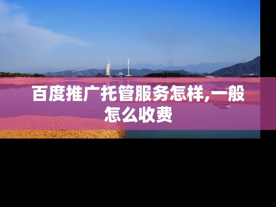 百度推广托管服务怎样,一般怎么收费