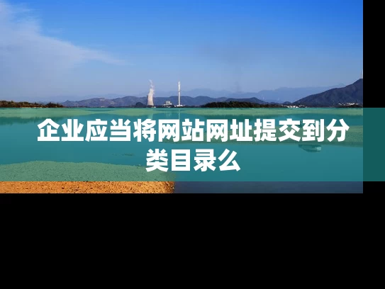 企业应当将网站网址提交到分类目录么