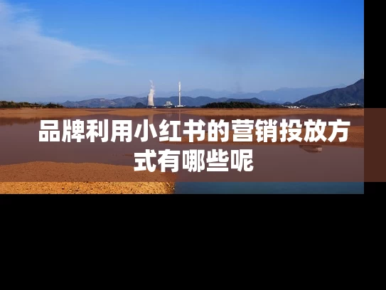 品牌利用小红书的营销投放方式有哪些呢
