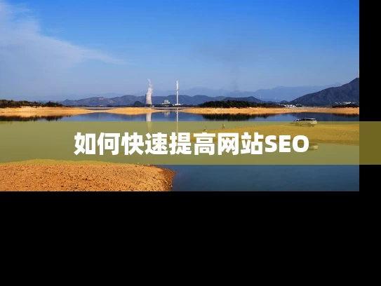 如何快速提高网站SEO