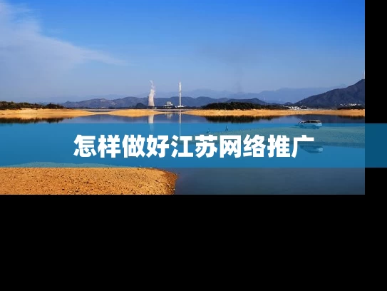 怎样做好江苏网络推广