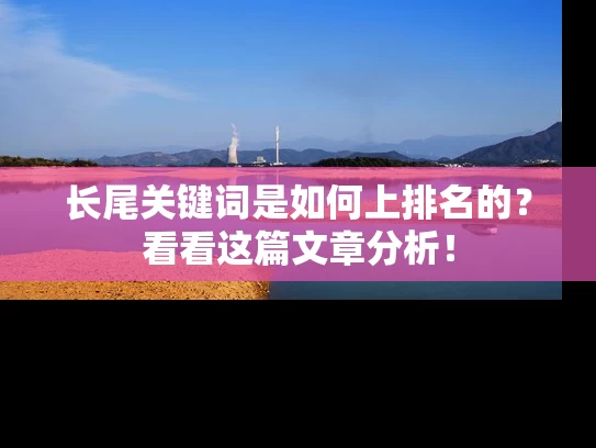 长尾关键词是如何上排名的？看看这篇文章分析！