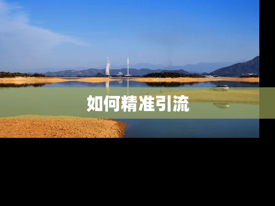 如何精准引流