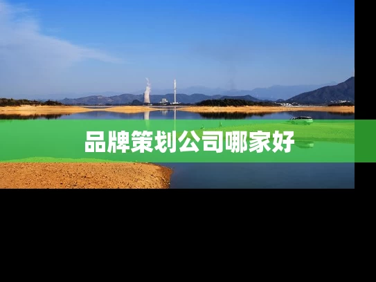 品牌策划公司哪家好