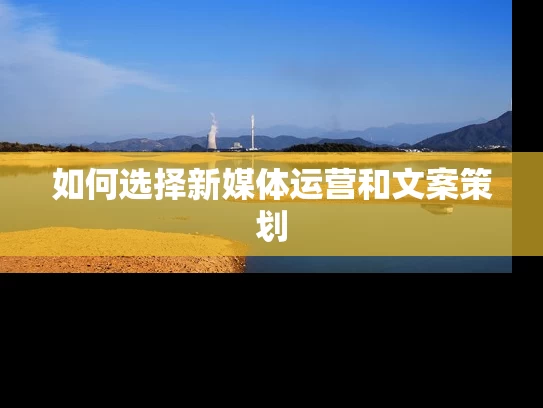 如何选择新媒体运营和文案策划
