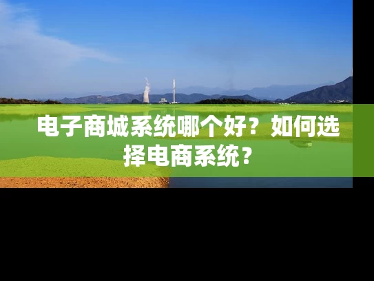 电子商城系统哪个好？如何选择电商系统？