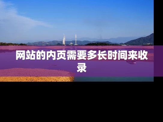 网站的内页需要多长时间来收录