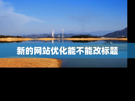 新的网站优化能不能改标题
