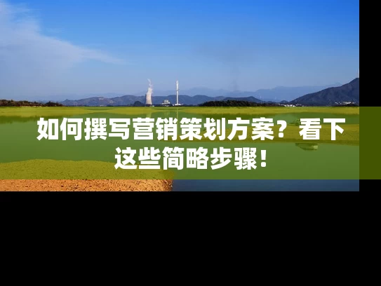 如何撰写营销策划方案？看下这些简略步骤！
