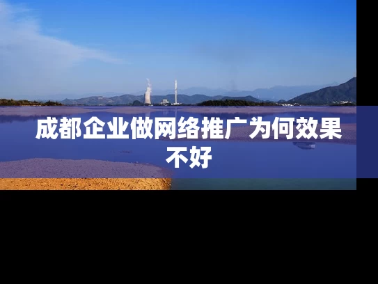 成都企业做网络推广为何效果不好