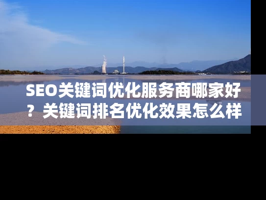 SEO关键词优化服务商哪家好？关键词排名优化效果怎么样？