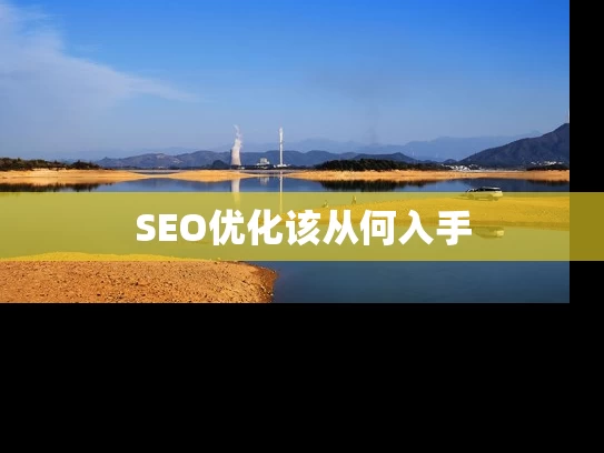 SEO优化该从何入手