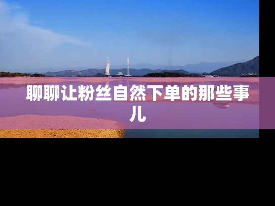 聊聊让粉丝自然下单的那些事儿