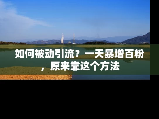 如何被动引流？一天暴增百粉，原来靠这个方法