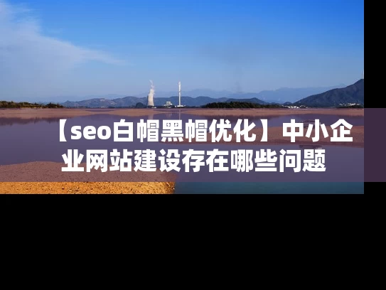 【seo白帽黑帽优化】中小企业网站建设存在哪些问题
