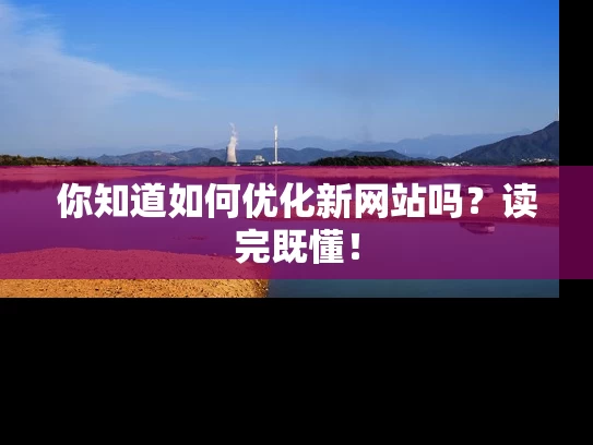 你知道如何优化新网站吗？读完既懂！