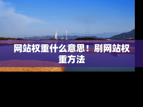 网站权重什么意思！刷网站权重方法