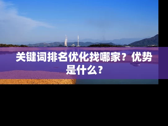 关键词排名优化找哪家？优势是什么？