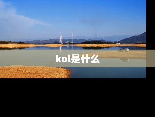 kol是什么