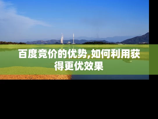 百度竞价的优势,如何利用获得更优效果