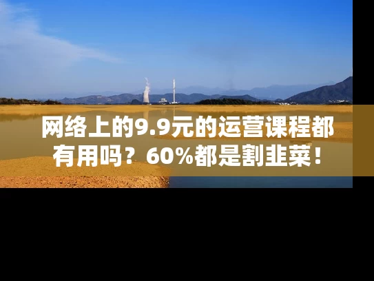 网络上的9.9元的运营课程都有用吗？60%都是割韭菜！